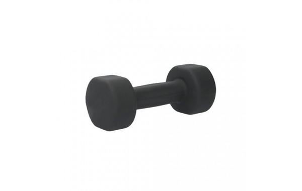 Гантель для аэробики неопреновая PRCTZ NEOPRENE DUMBBELL, 5 кг PS7135 600_380