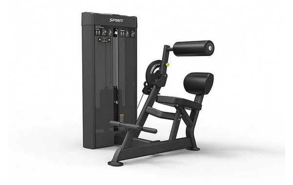 Пресс\разгибание спины Spirit Fitness SP-4609 600_380