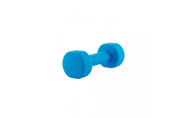 Гантель для аэробики неопреновая PRCTZ NEOPRENE DUMBBELL, 2 кг PS7095 600_380